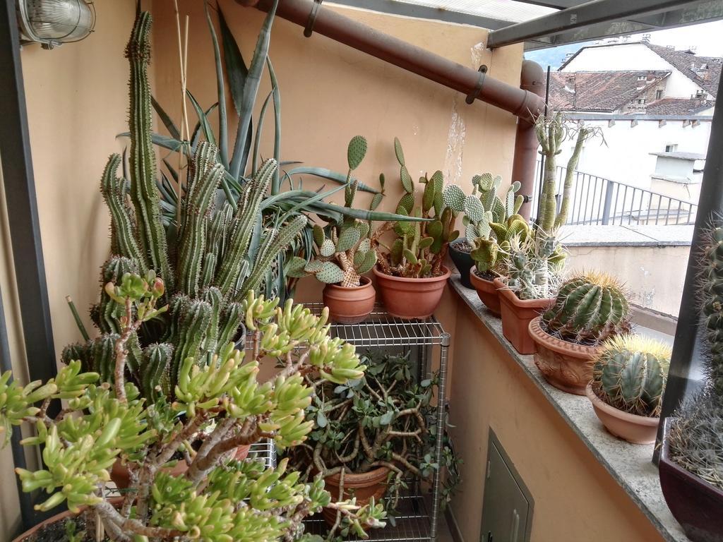 A Casa Di Gio Acomodação com café da manhã Turim Exterior foto
