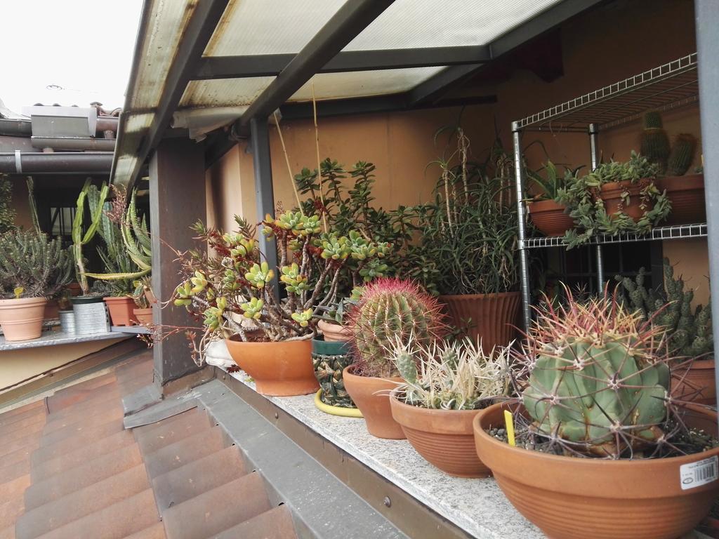 A Casa Di Gio Acomodação com café da manhã Turim Exterior foto